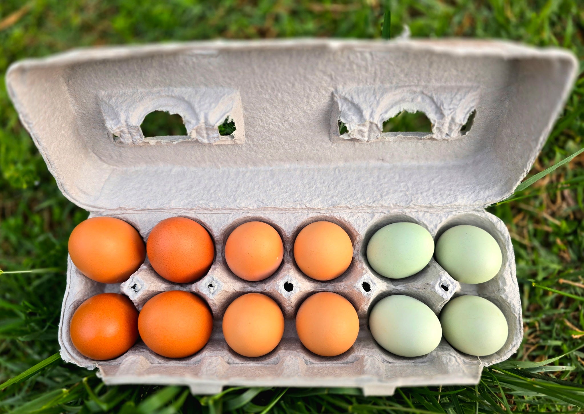 Eggs