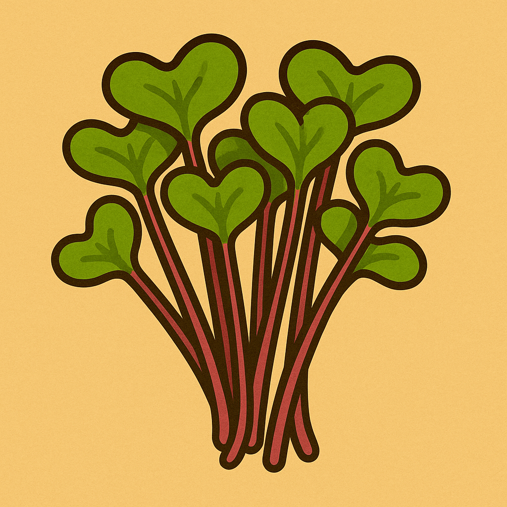 Radish Shoots