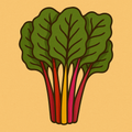 Swiss Chard