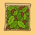 Salad Mix