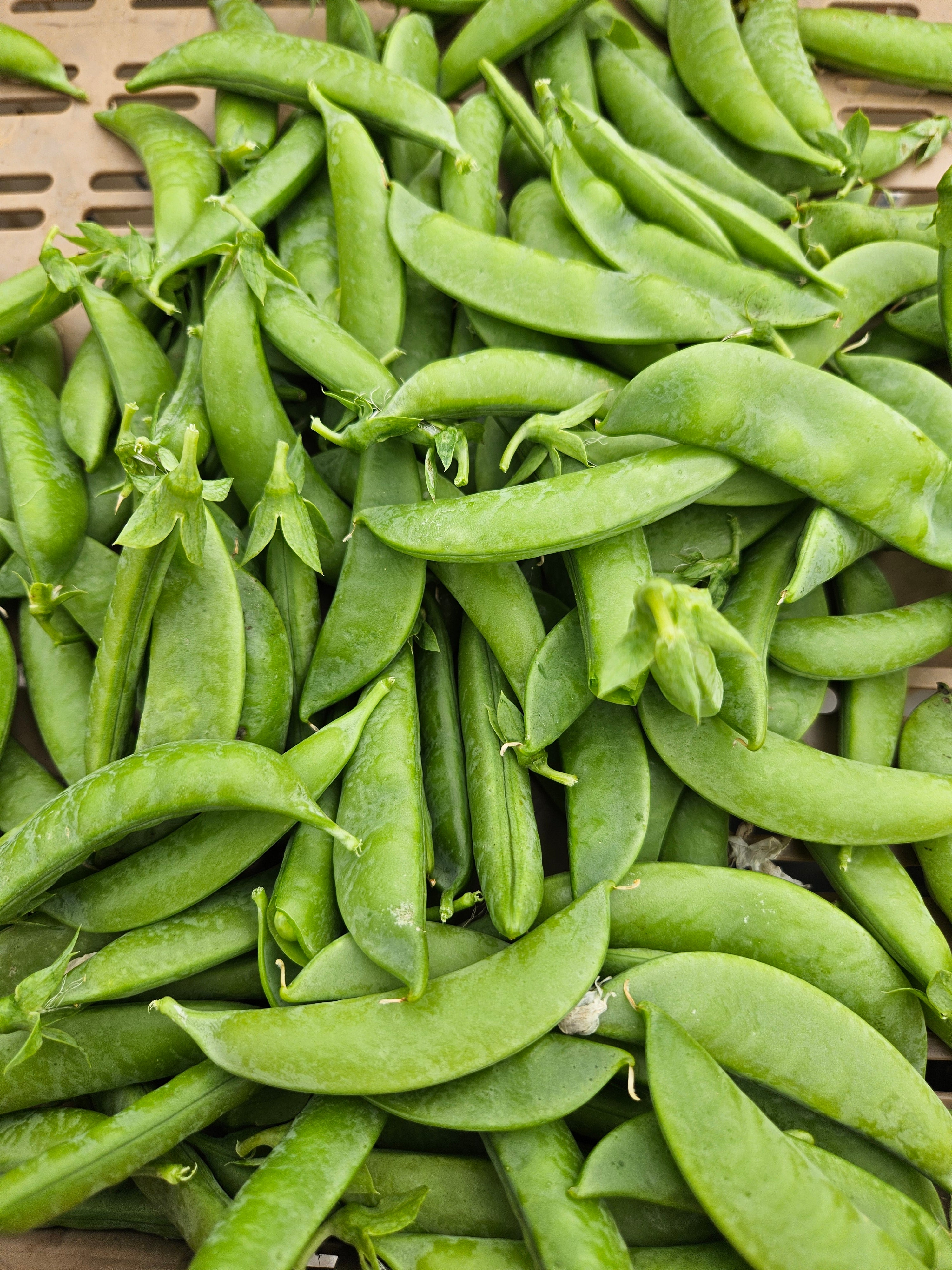 Sugar Snap Peas