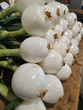 White Onions