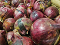 Red Onions