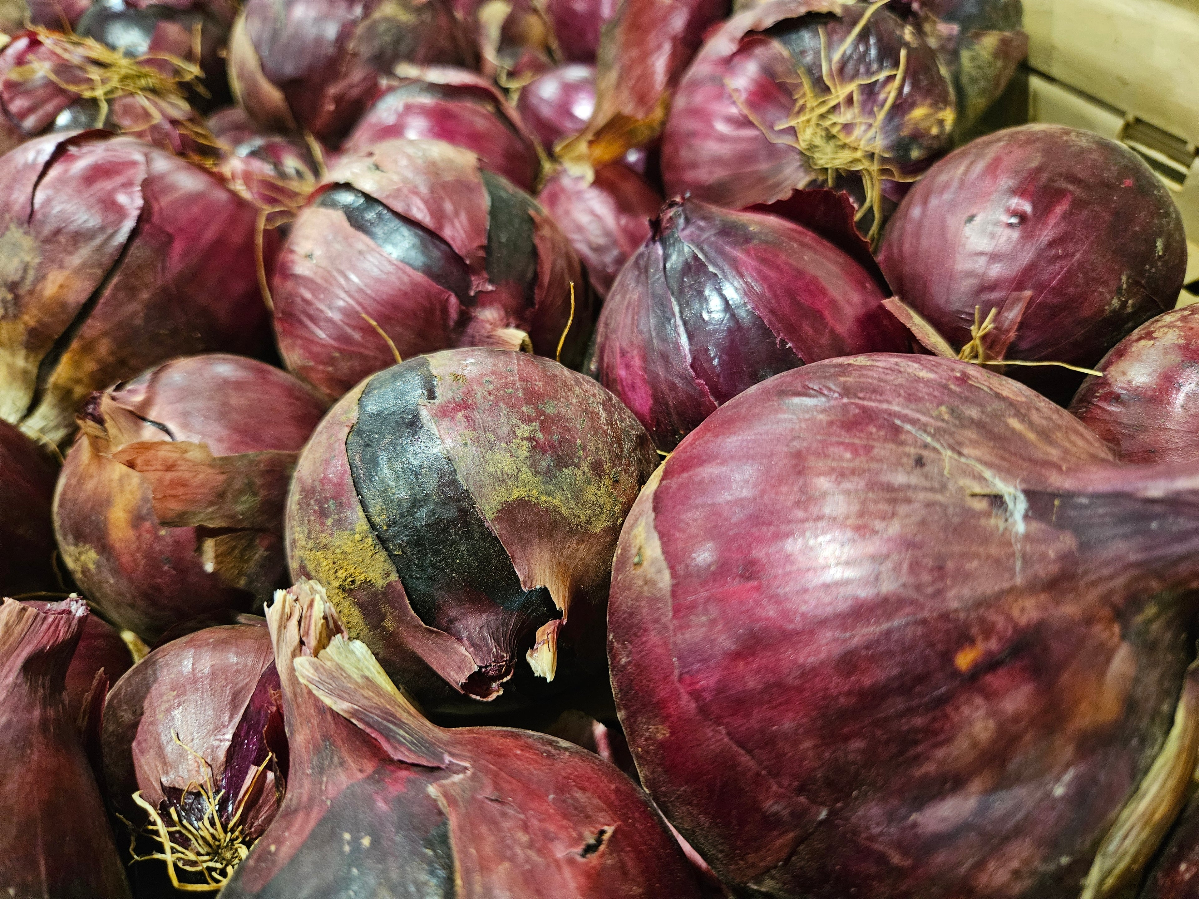 Red Onions